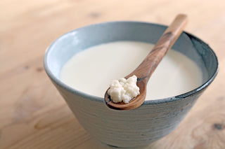 Økologiske kefirkorn – startkultur for hjemmelaget kefir